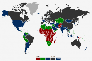 Gross Reproduction Rate